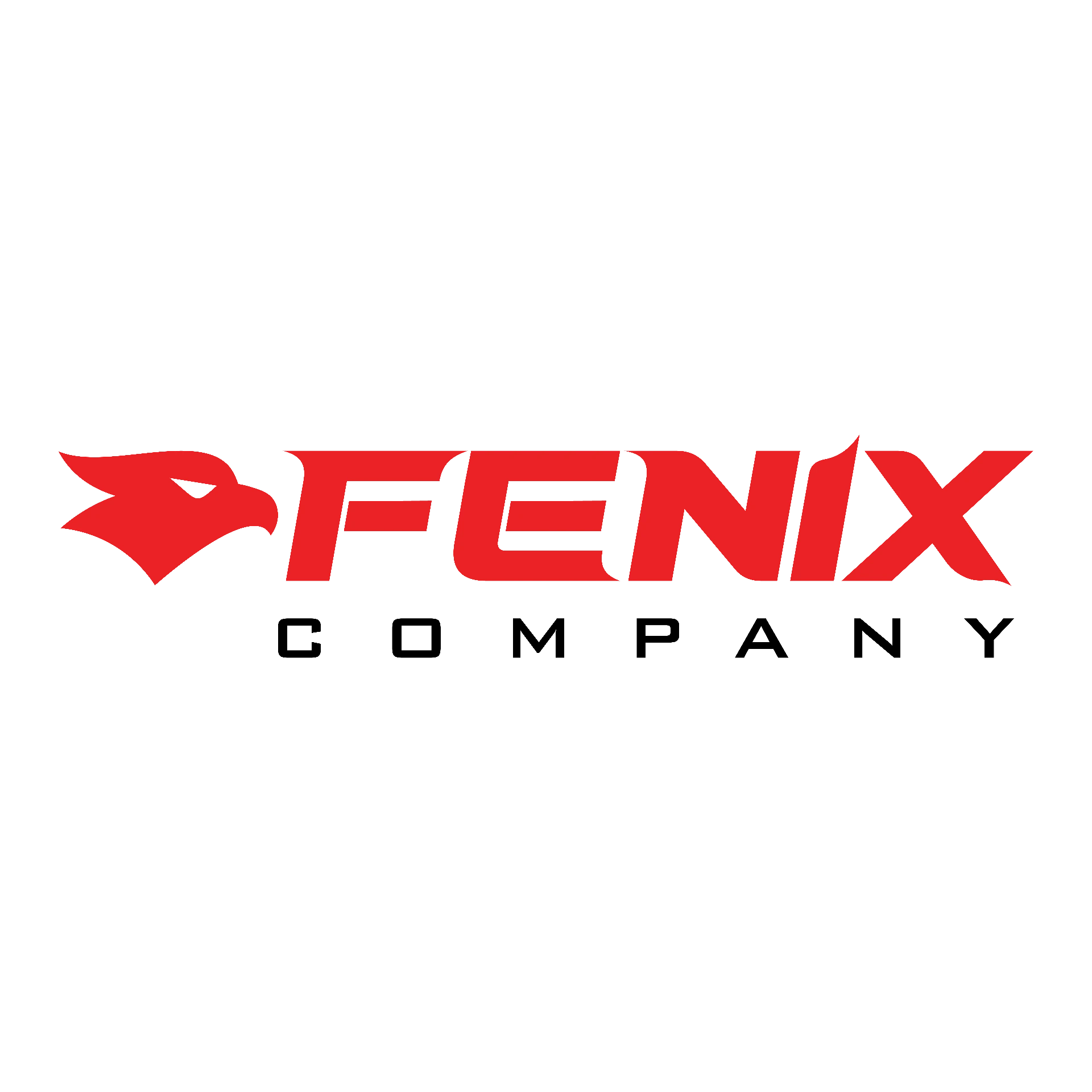 FENIX Company · Shopping das Academias